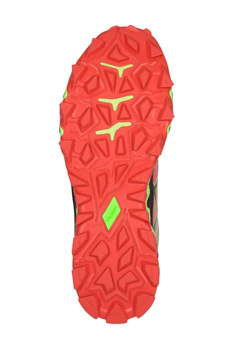 Lazy Image