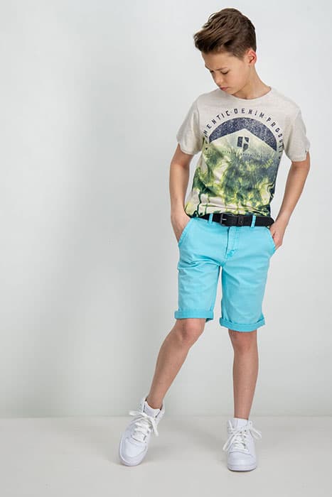 Lazy Image