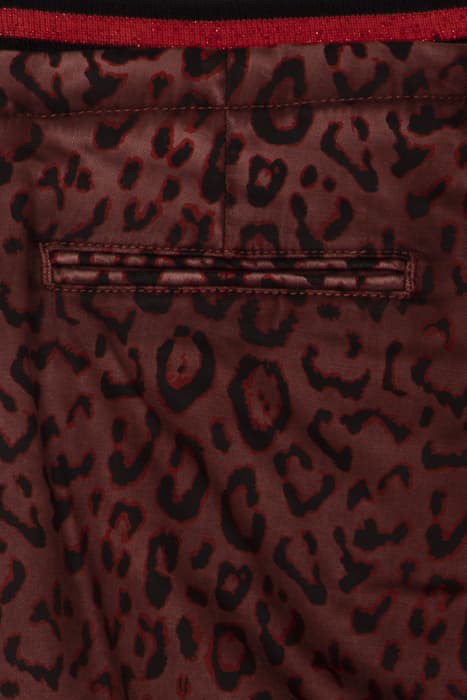 Lazy Image