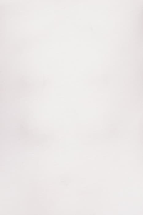 Lazy Image