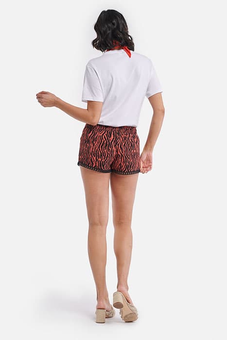 Lazy Image