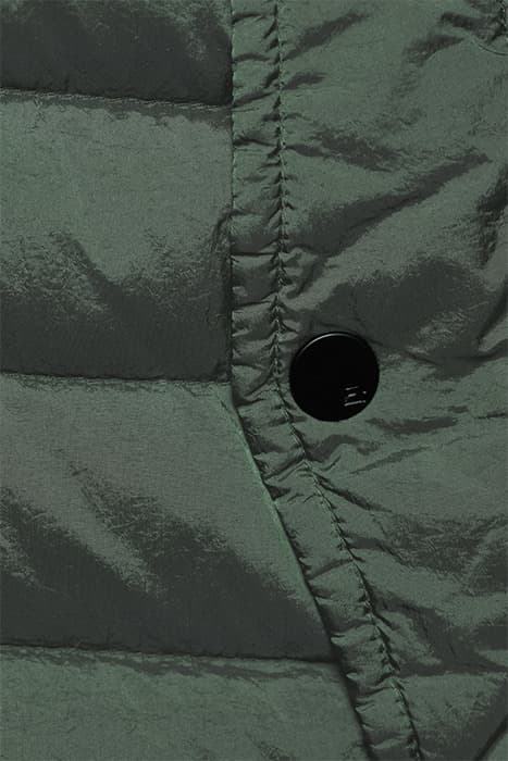 Lazy Image