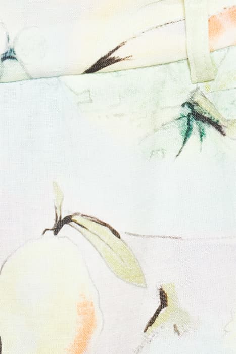 Lazy Image