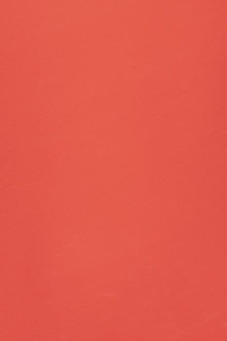 Lazy Image