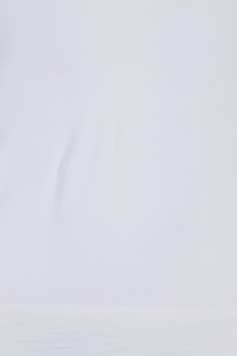 Lazy Image