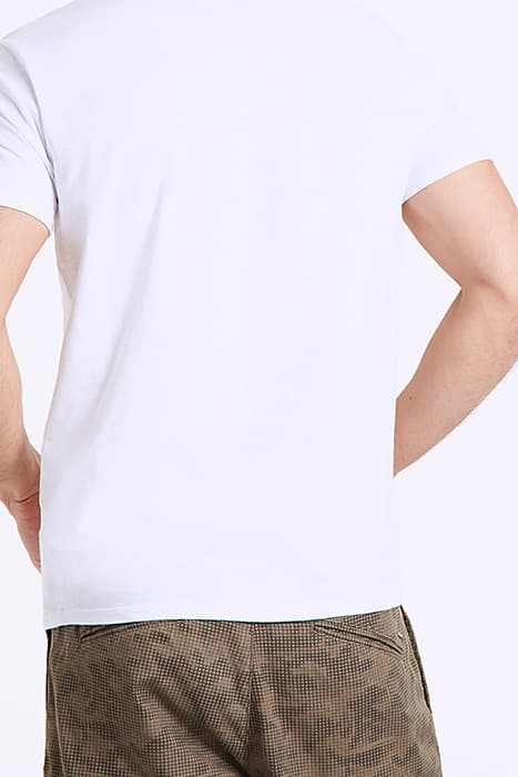 Lazy Image