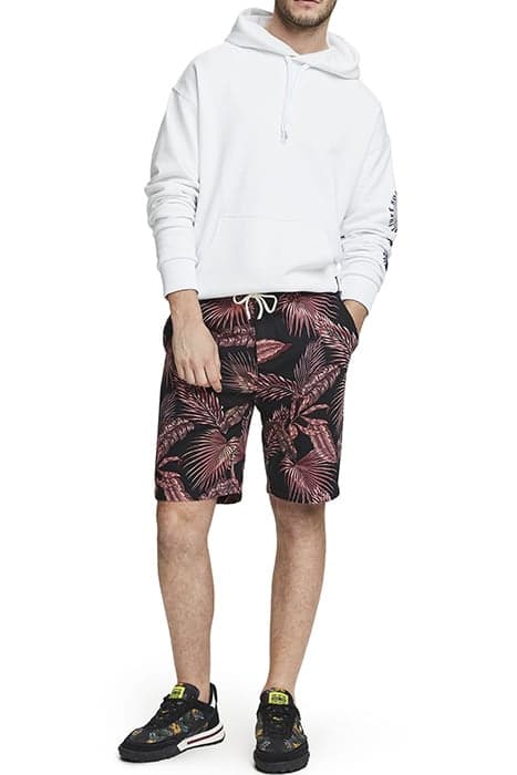 Lazy Image