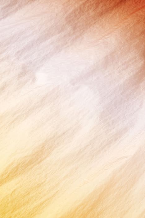 Lazy Image
