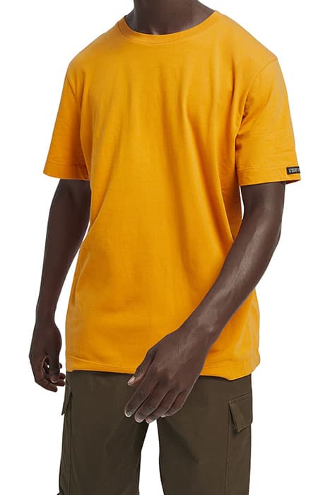 Lazy Image