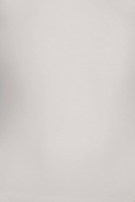 Lazy Image