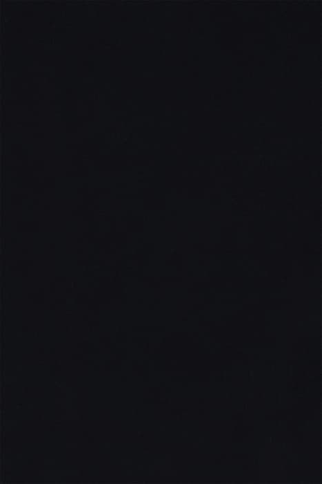 Lazy Image