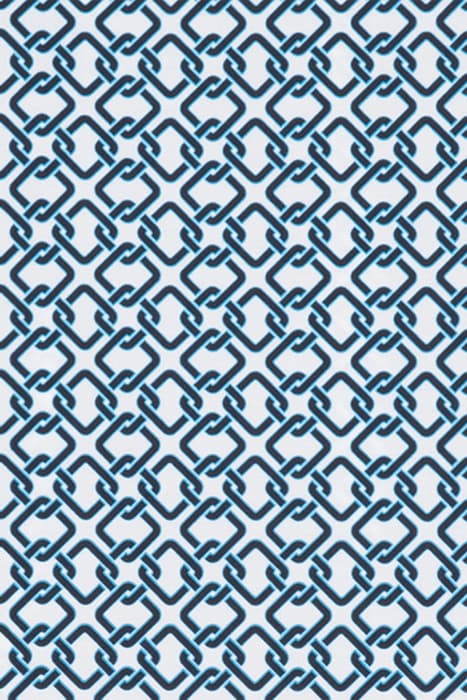 Lazy Image