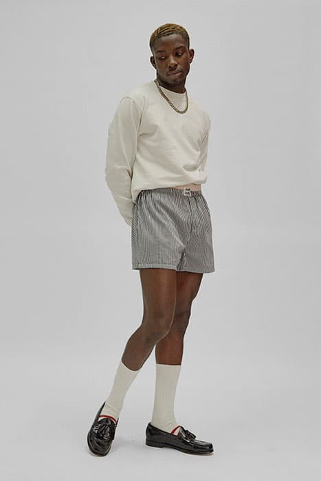 Lazy Image