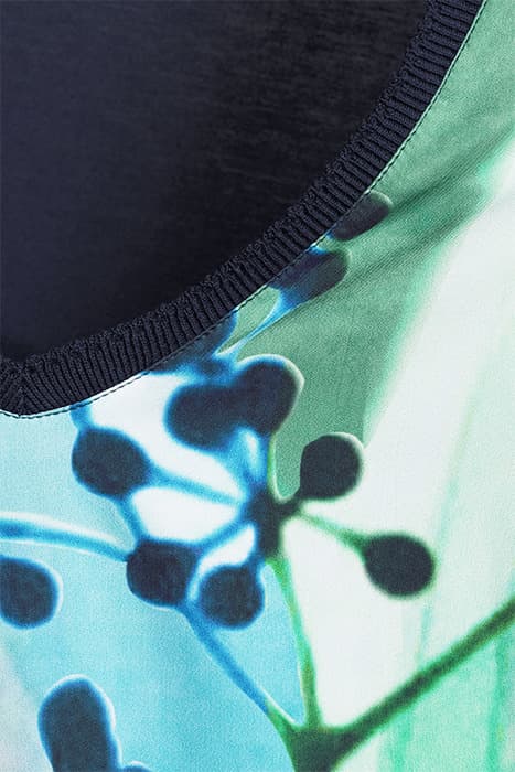 Lazy Image