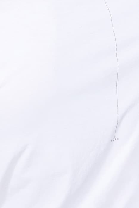 Lazy Image