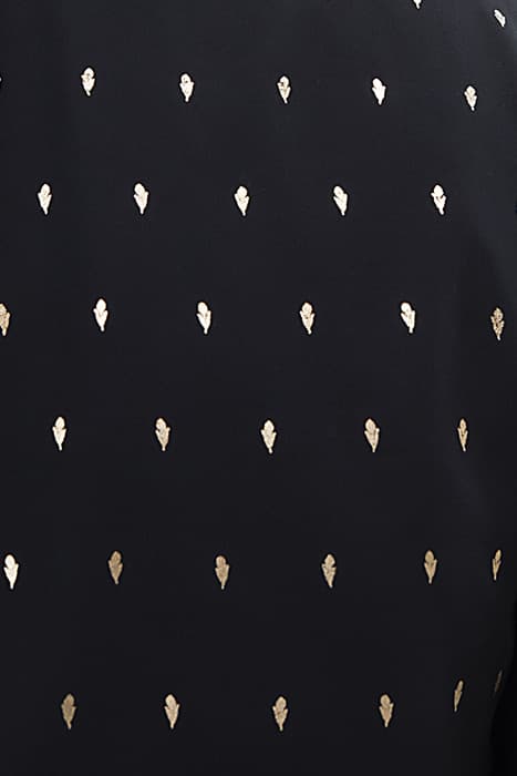 Lazy Image