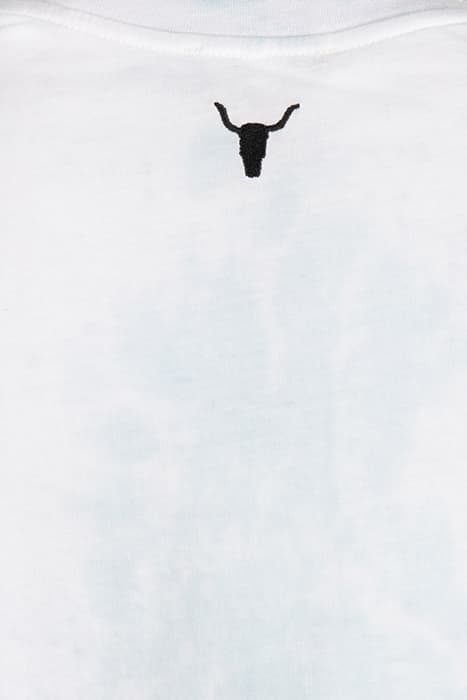 Lazy Image