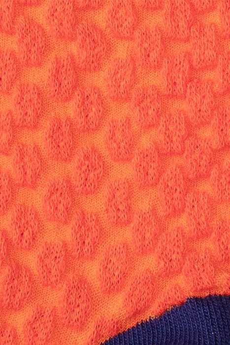 Lazy Image