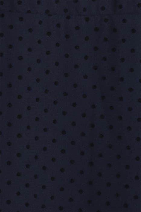 Lazy Image