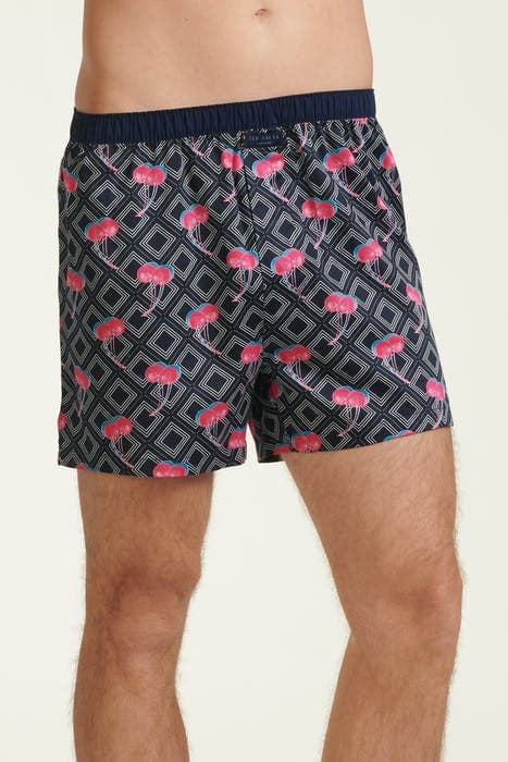 Lazy Image