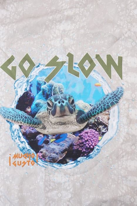 Lazy Image