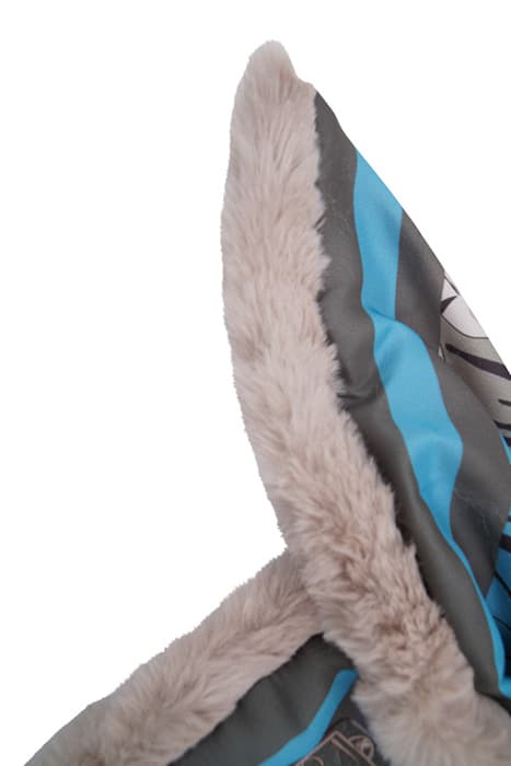 Lazy Image