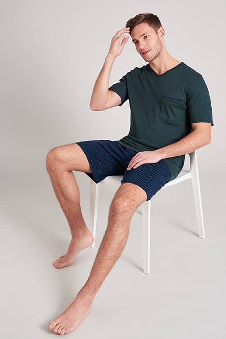 Lazy Image