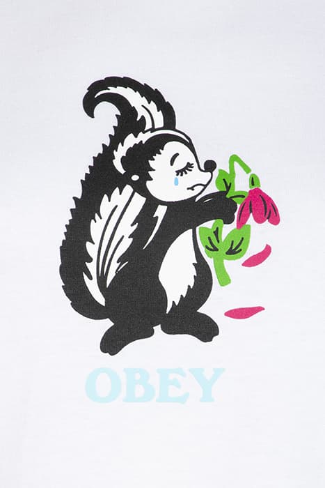 Lazy Image
