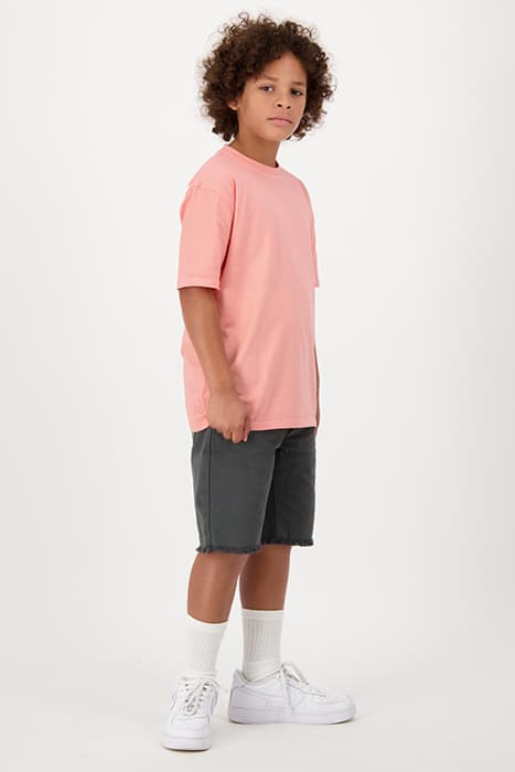 Lazy Image